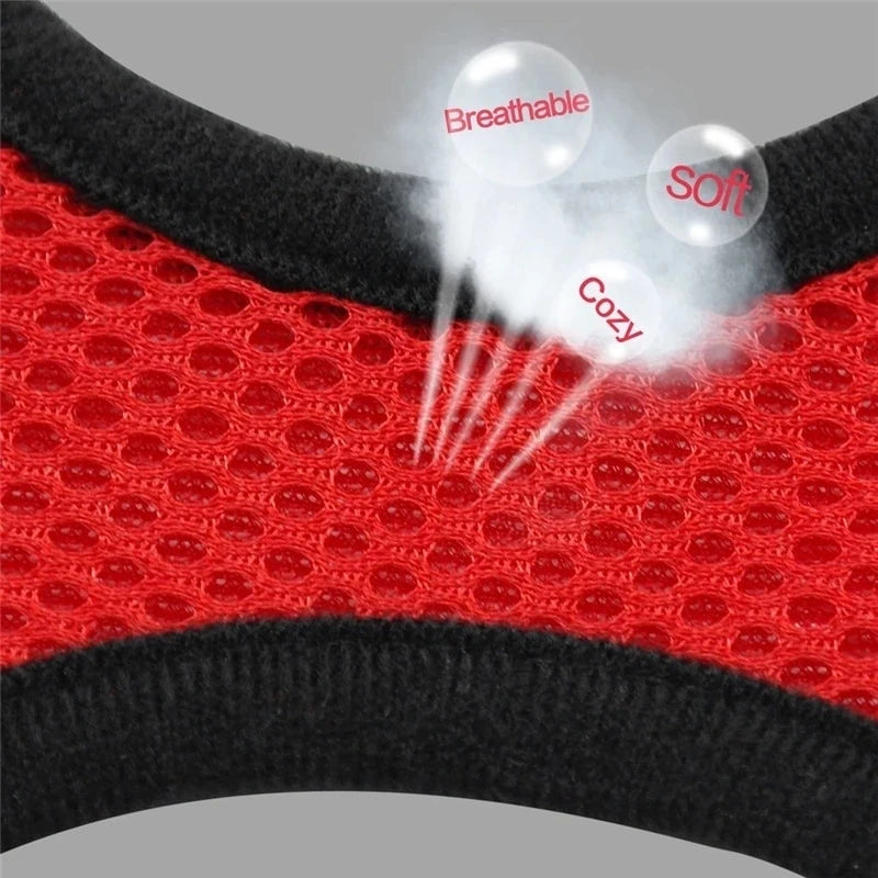 Cat Harness Vest Walking Lead Leash.
