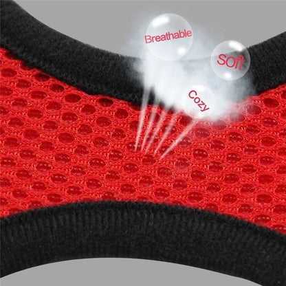 Cat Harness Vest Walking Lead Leash.