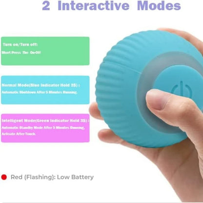 Automatic Rolling Ball for Cats.