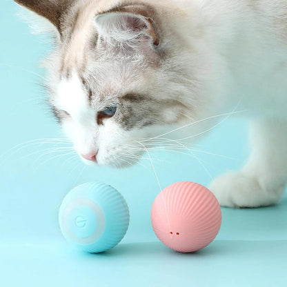 Automatic Rolling Ball for Cats.