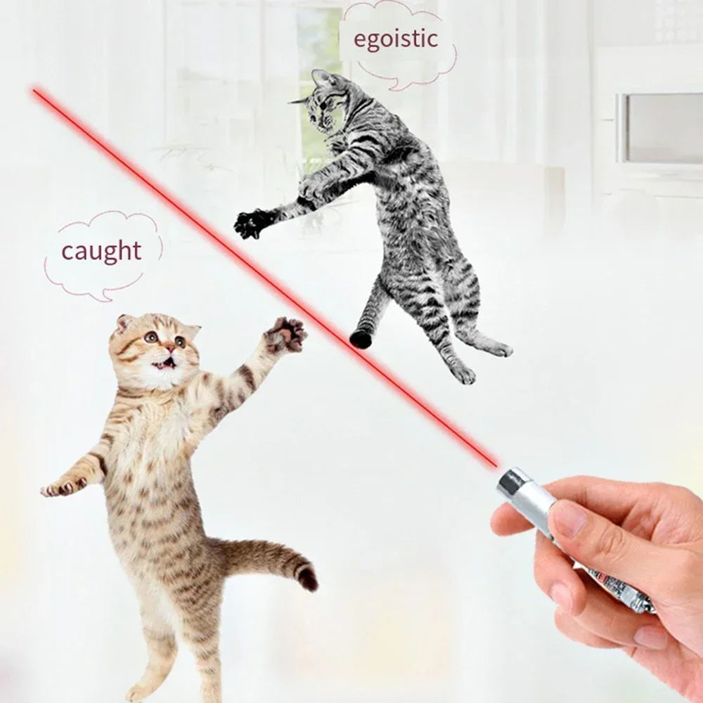 Teasing Cat Laser Pointer.