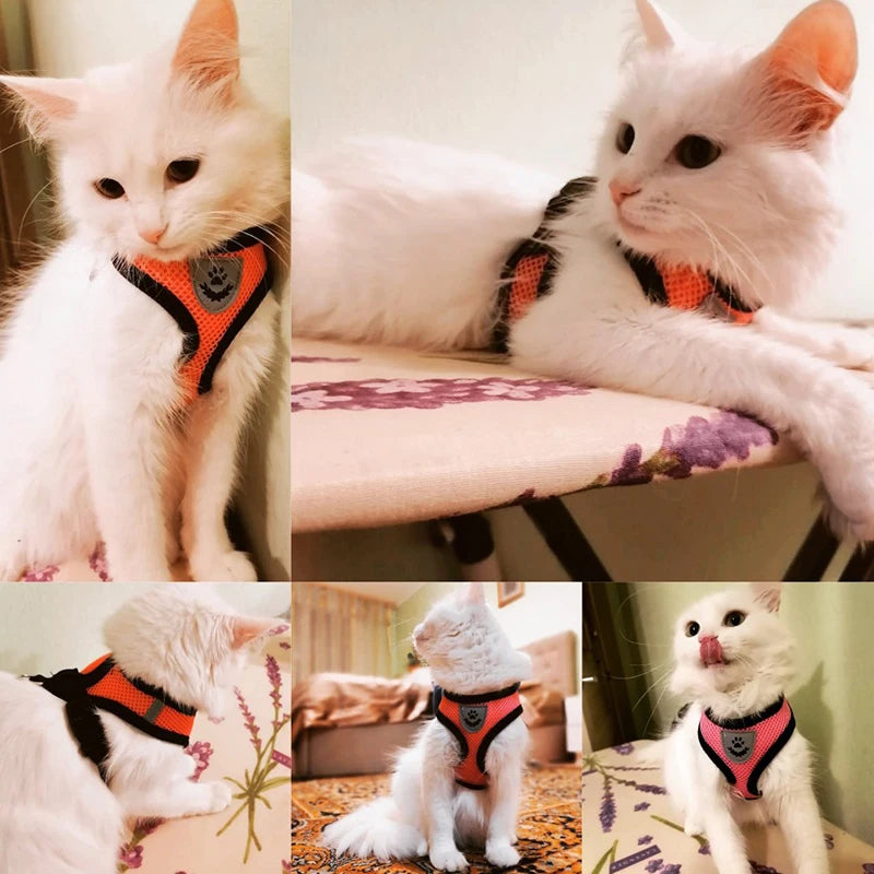 Cat Harness Vest Walking Lead Leash.