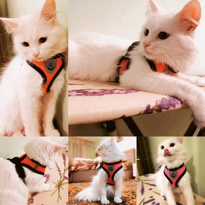 Cat Harness Vest Walking Lead Leash.
