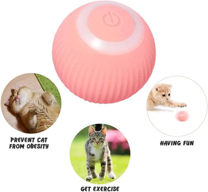 Automatic Rolling Ball for Cats.