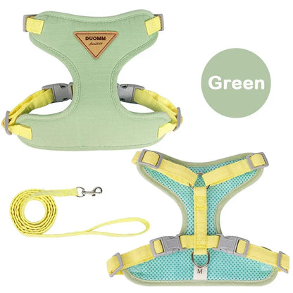 Puppy Harness Leash.