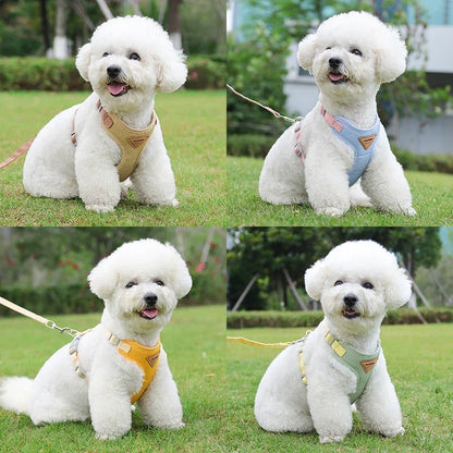 Puppy Harness Leash.