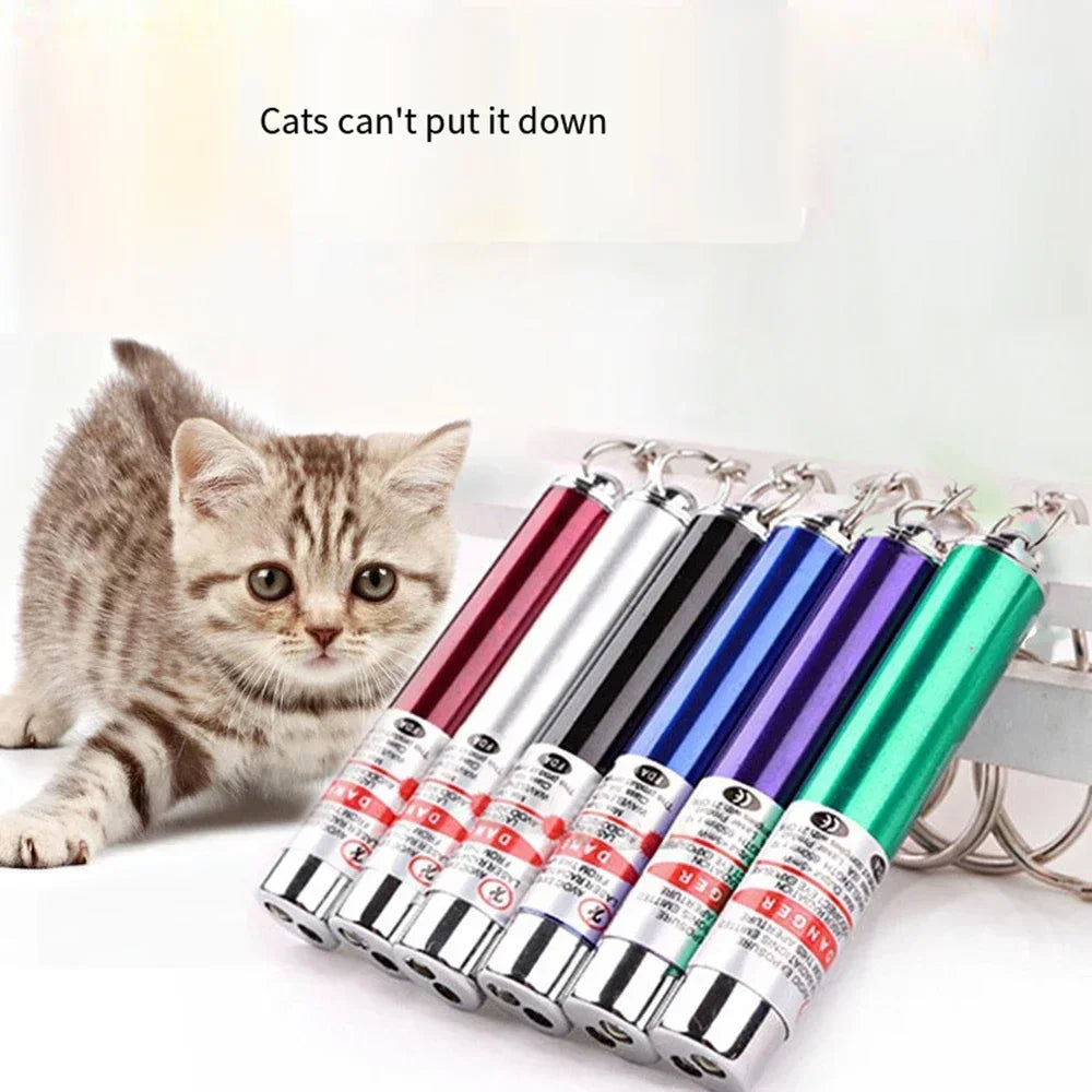 Teasing Cat Laser Pointer.