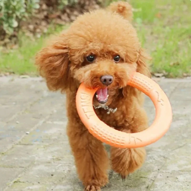 Round Orange Toy.