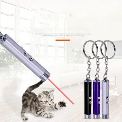 Teasing Cat Laser Pointer.