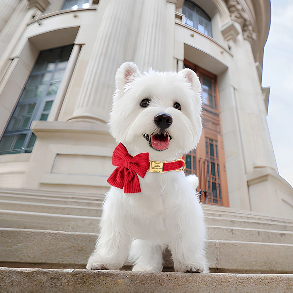Big Bowtie Collar.
