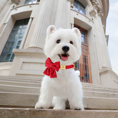 Big Bowtie Collar.