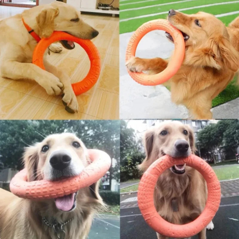 Round Orange Toy.