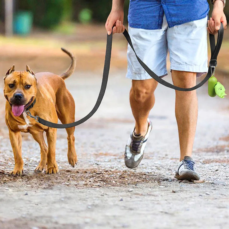 Cat and Dog Harness.
