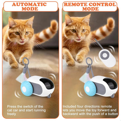 Smart Cat Toy Remote Control.