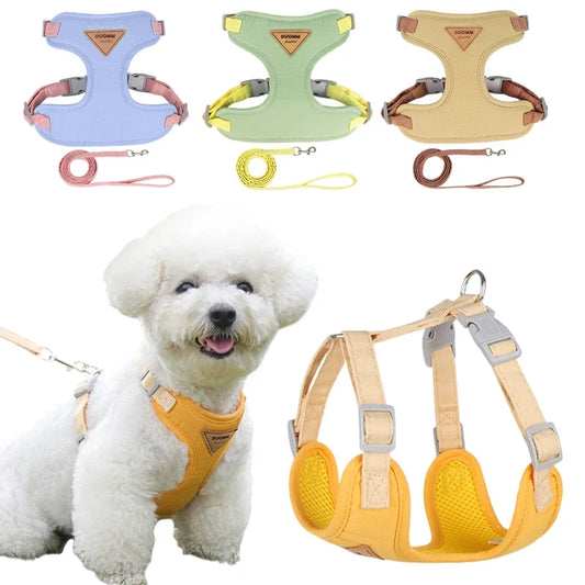 Puppy Harness Leash.