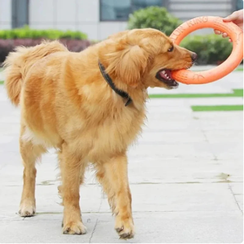 Round Orange Toy.