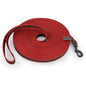 Many Different Dog Leashes.