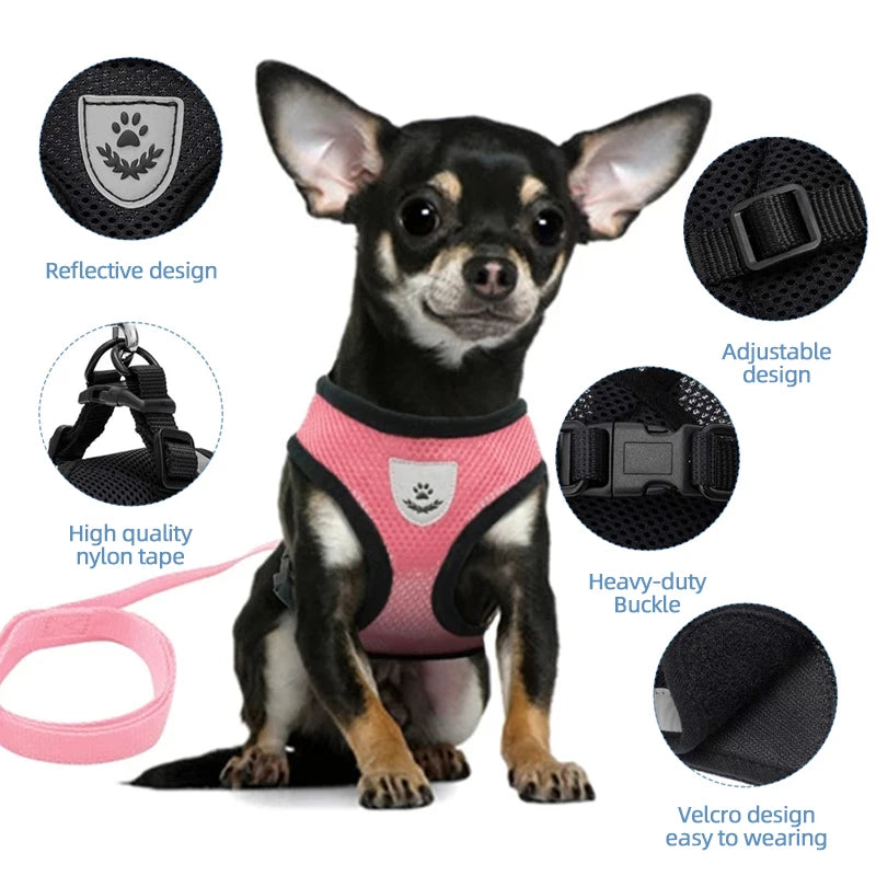 Cat Harness Vest Walking Lead Leash.