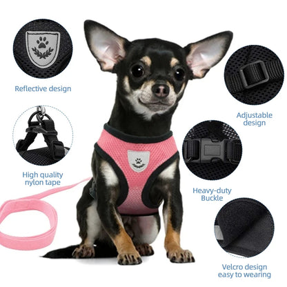 Cat Harness Vest Walking Lead Leash.