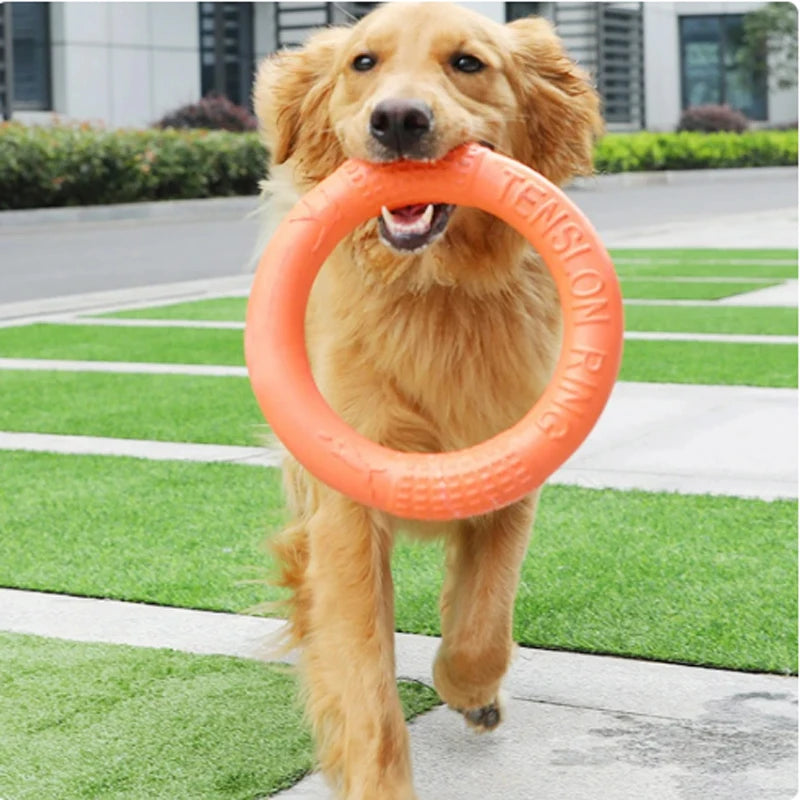 Round Orange Toy.