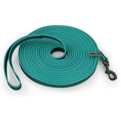 Many Different Dog Leashes.
