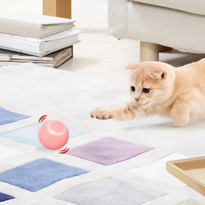 Automatic Rolling Ball for Cats.