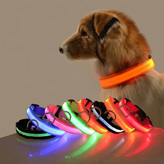 Nylon LED Night Safety Flashing Glow In The Dark Dog Collar.