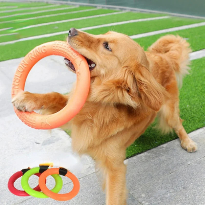 Round Orange Toy.