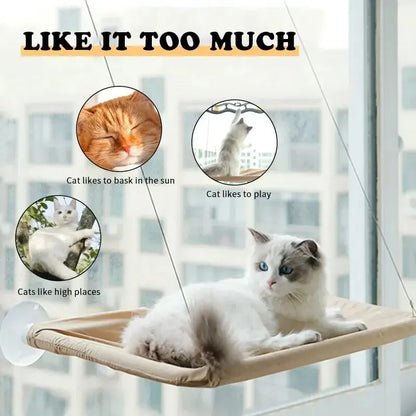 New Cat Hammock.