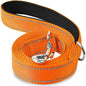 Cat and Dog Harness.