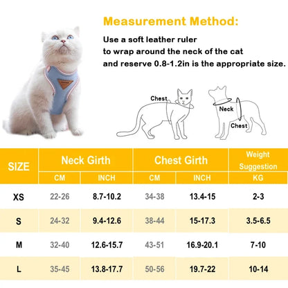 Puppy Harness Leash.