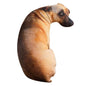 3D Lifelike Animal.